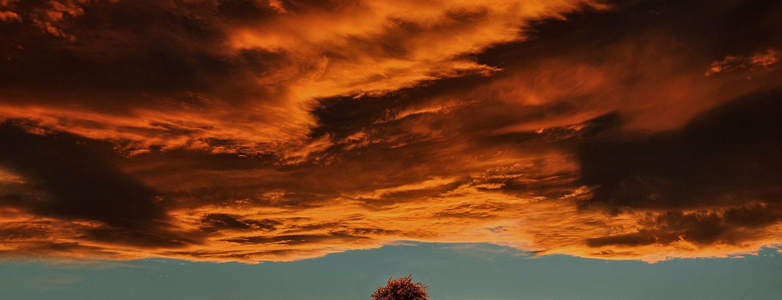 Estudio Digital MCClic S.L. - Imagen 1