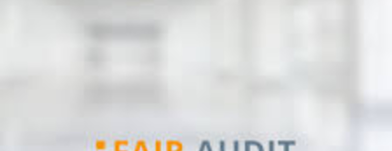 FAIR AUDIT S.L.P - Imagen 5