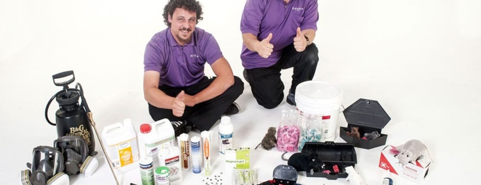 Plagues Ésser Viu - Imagen 4