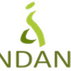 Logo de Indane, Rehabilitación Neurológica
