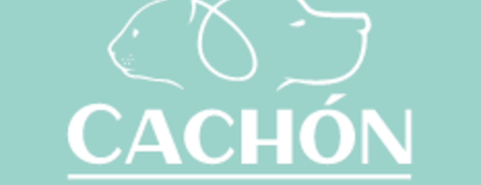 Centro Veterinario Cachón