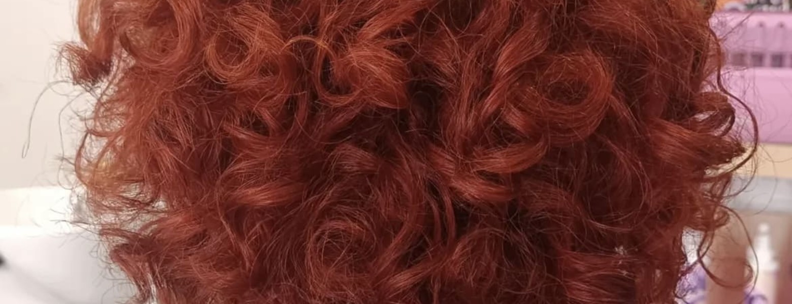 Macadamia estilistas - Imagen 2