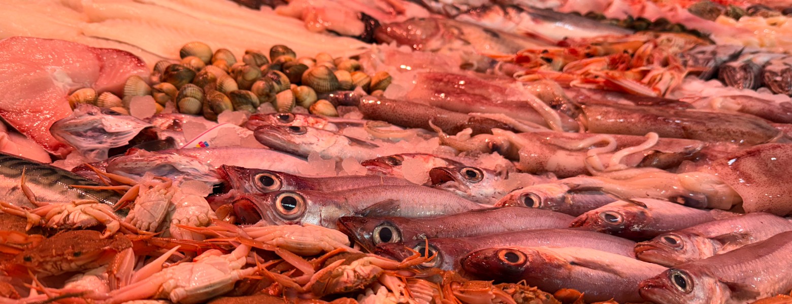 Juanpemart Sl - Imagen 1