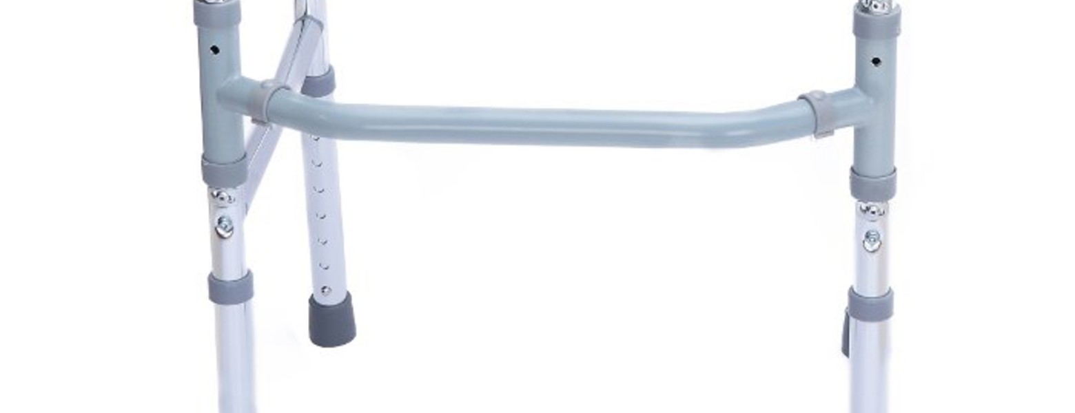 Bienestaris - Imagen 2