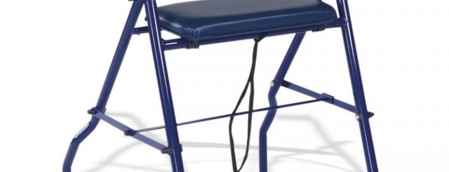 Bienestaris - Imagen 3