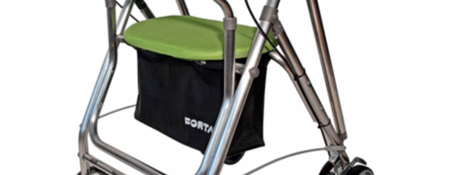 Bienestaris - Imagen 4