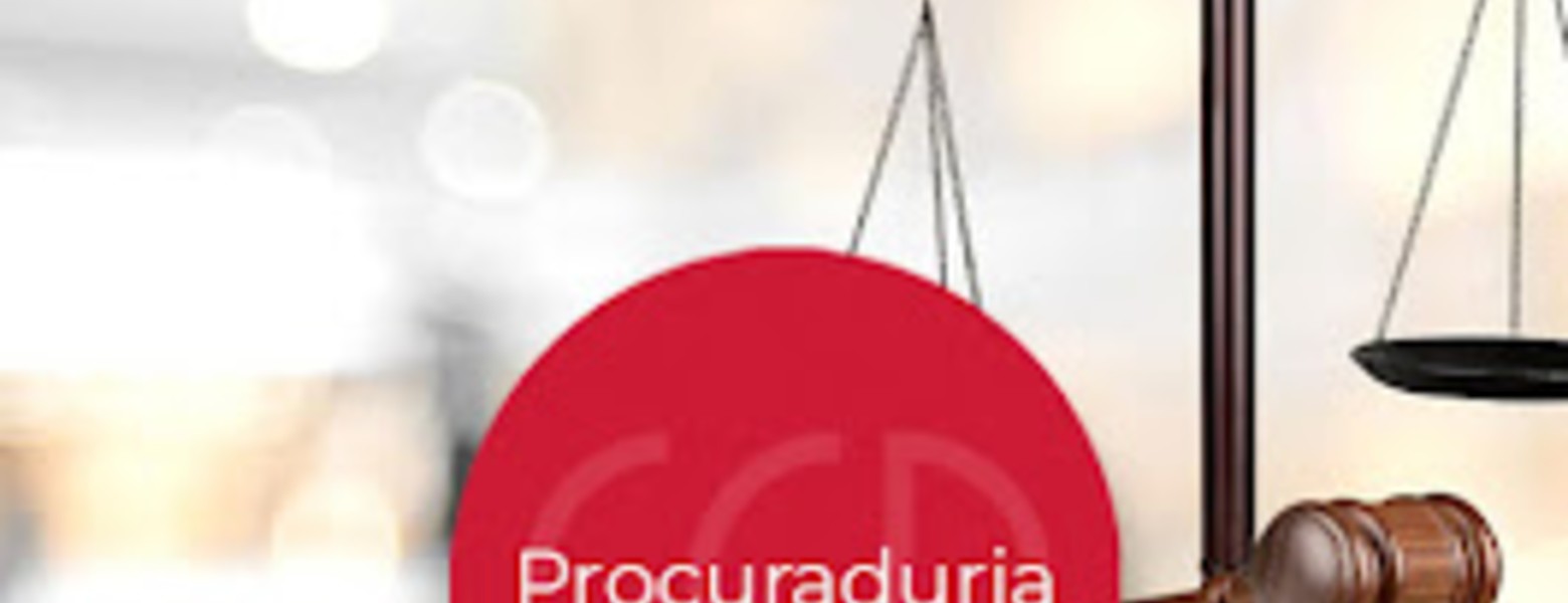 Sales Comas Procuradores Madrid - Imagen 3