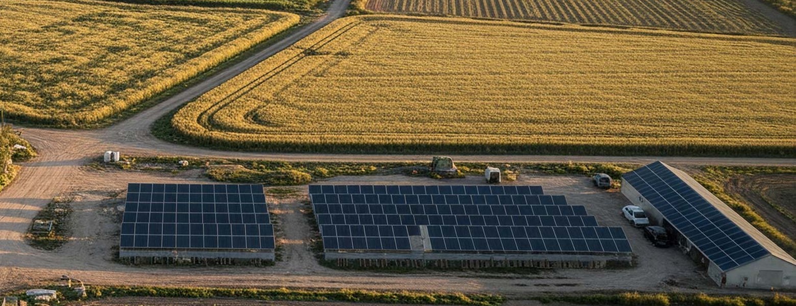 Finca Las Iniestas, Albacete - Imagen 5