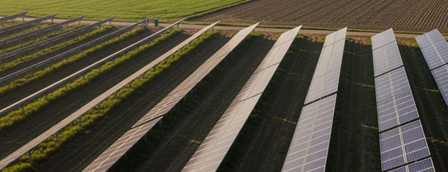 Finca Las Iniestas, Albacete - Imagen 4