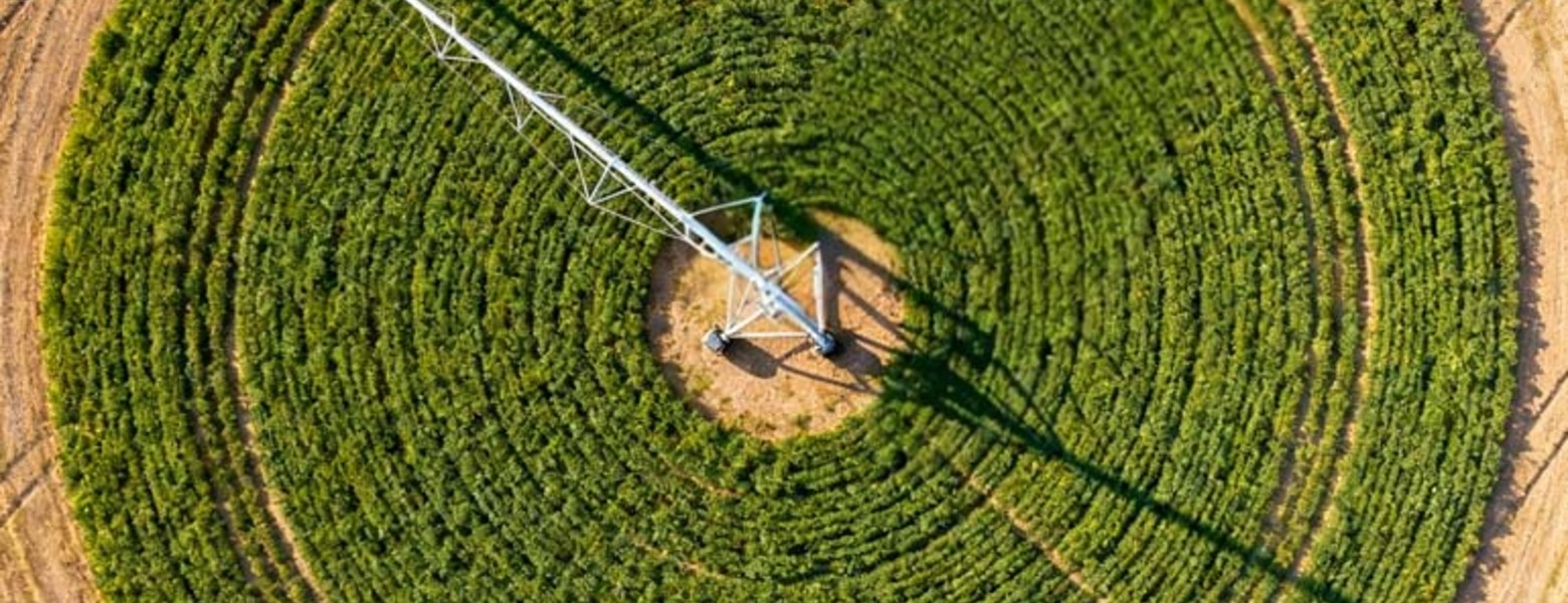 Finca Las Iniestas, Albacete - Imagen 9