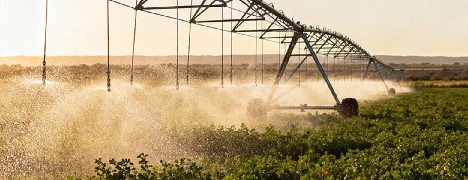 Finca Las Iniestas, Albacete - Imagen 2