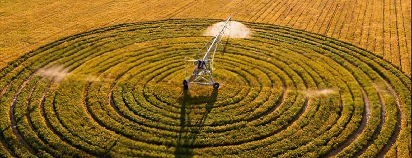 Finca Las Iniestas, Albacete - Imagen 7