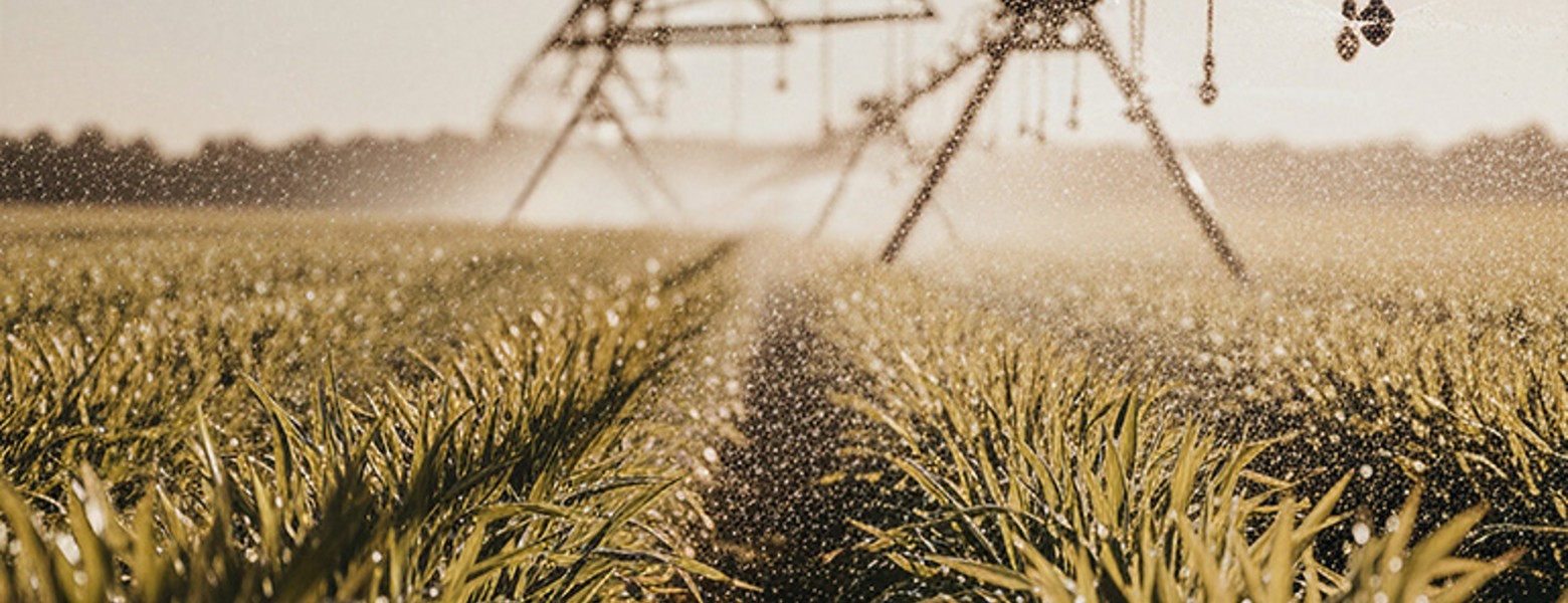 Finca Las Iniestas, Albacete - Imagen 13