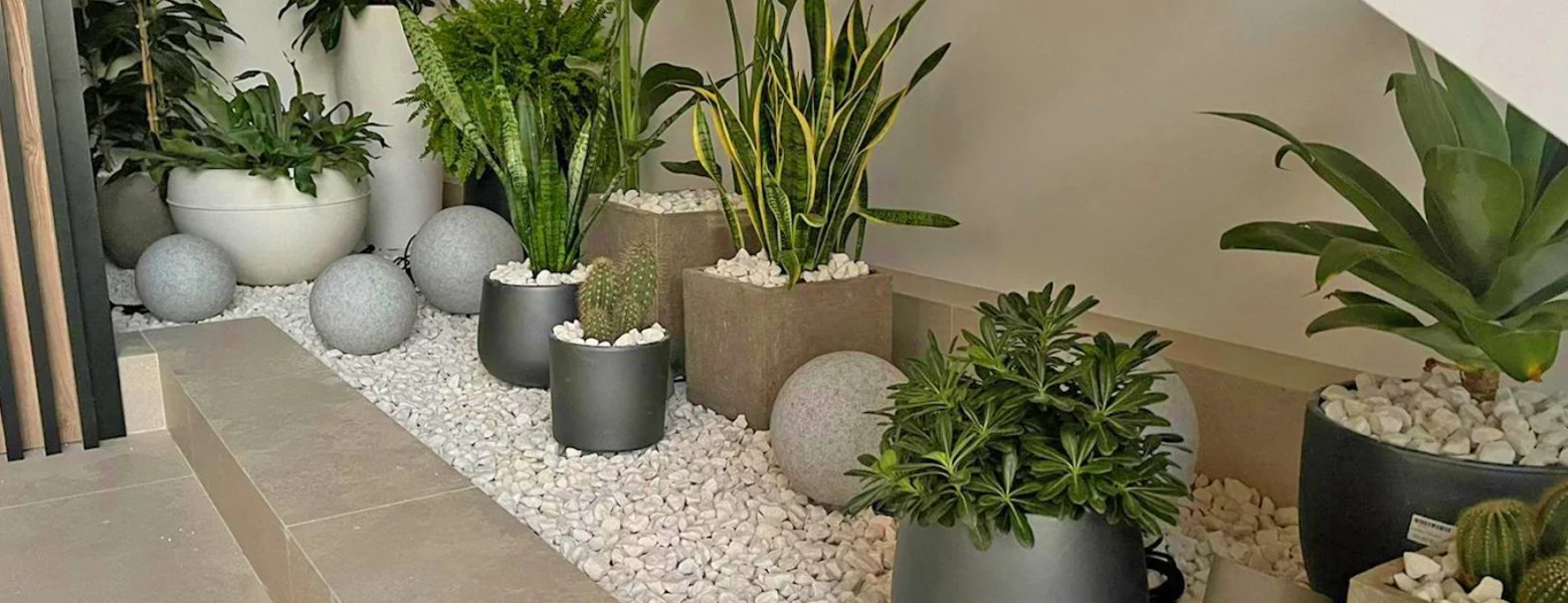 Garden Almerimar - Imagen 5