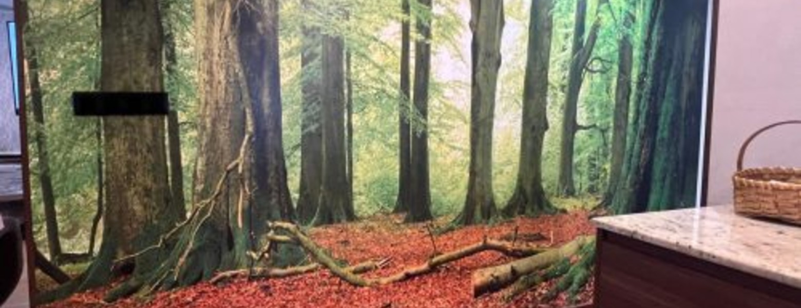 Pinturas Arratia - Imagen 3