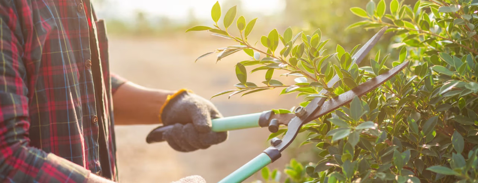 Pintor en Las Palmas. Pérez Realty Group - Imagen 2