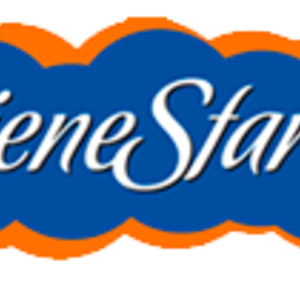 Logo de Bienestaris