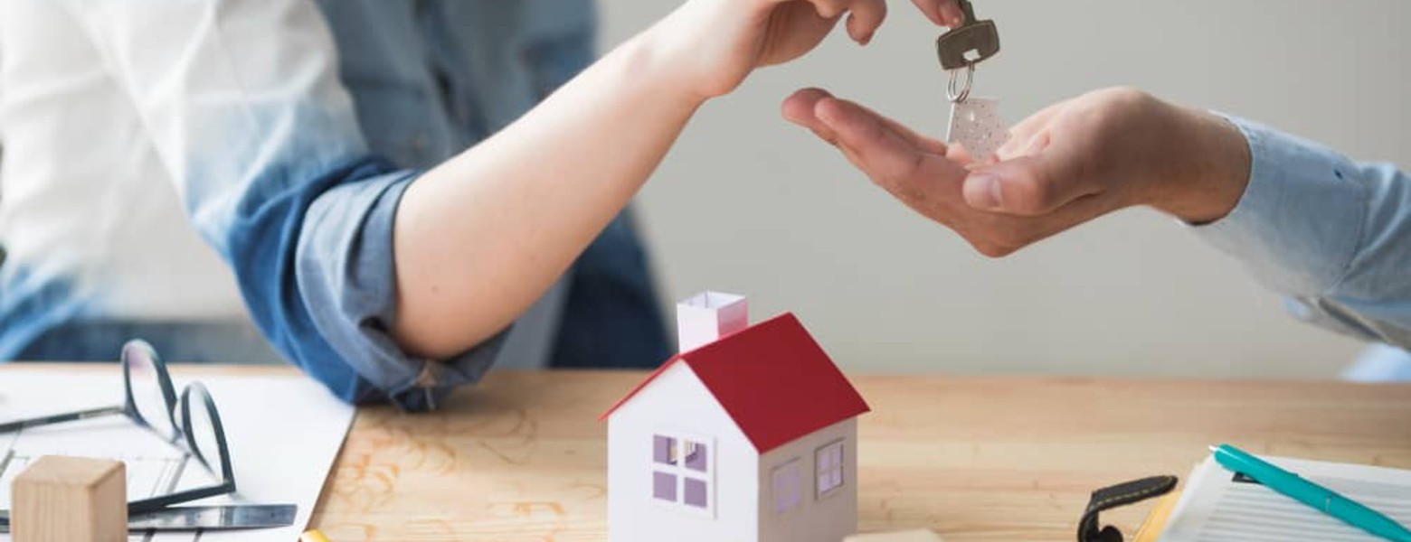 Mollina Asesores - Imagen 3