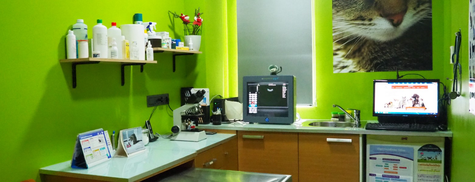 Clínica Veterinaria Alcazaba - Imagen 6