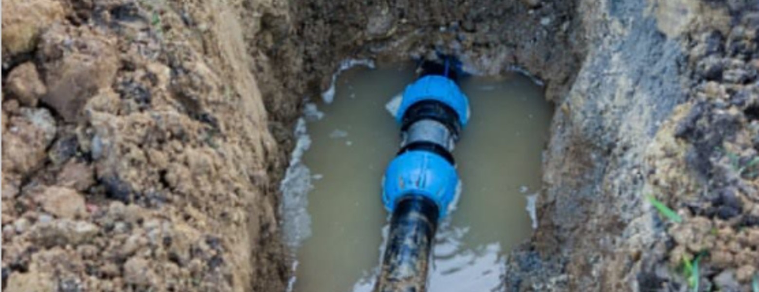 CR INSPECCIÓ - Imagen 1