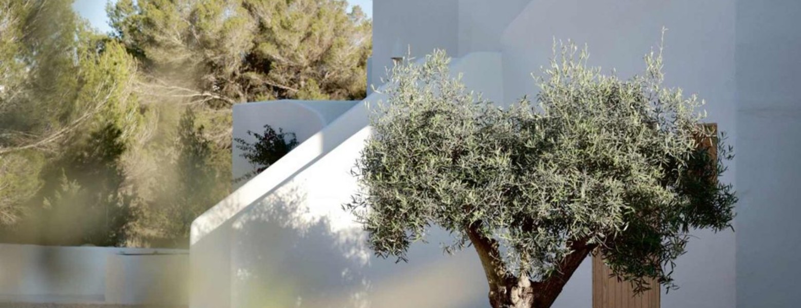 Estel Formentera - Imagen 5