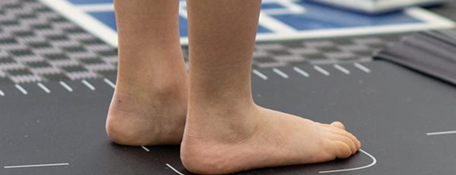 Fàbregas Podòlegs - Imagen 1