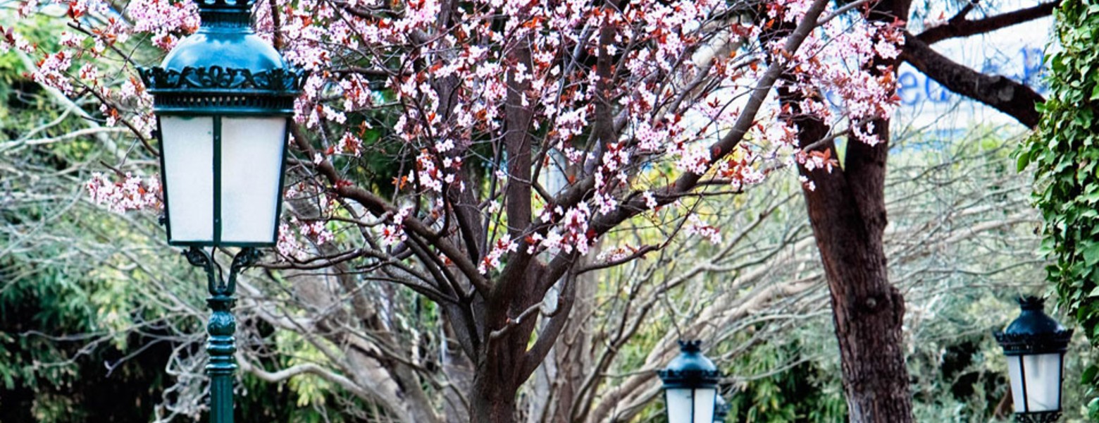 Finca La Alquería - Celebración de Eventos y bodas en Madrid - Imagen 1