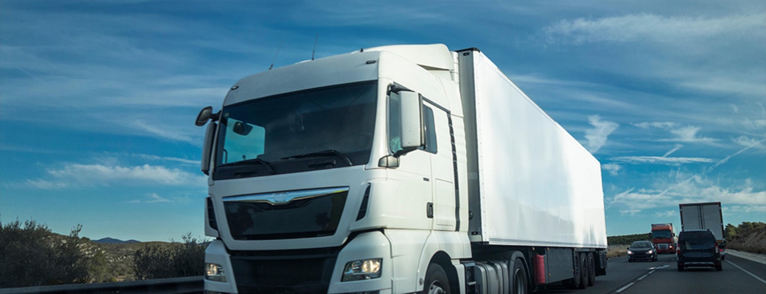 Laboral Transporte - Imagen 4