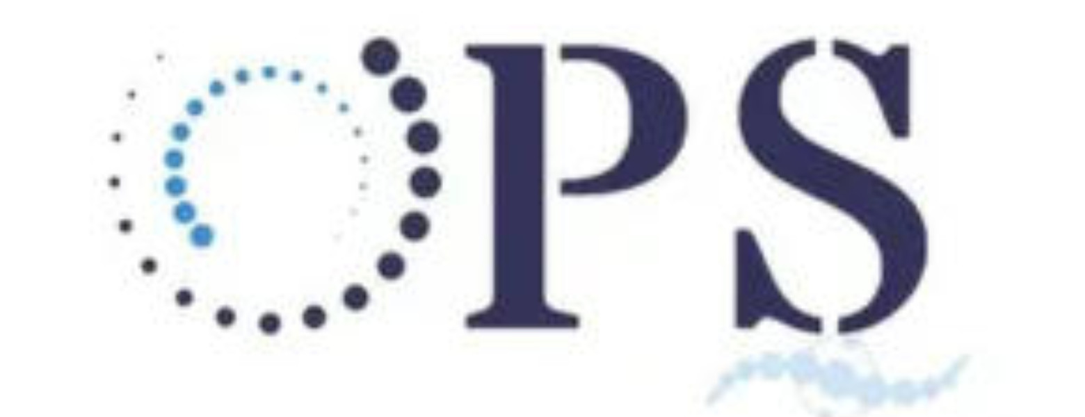 Outsourcing Payroll Solutions Laboral SL - Imagen 5