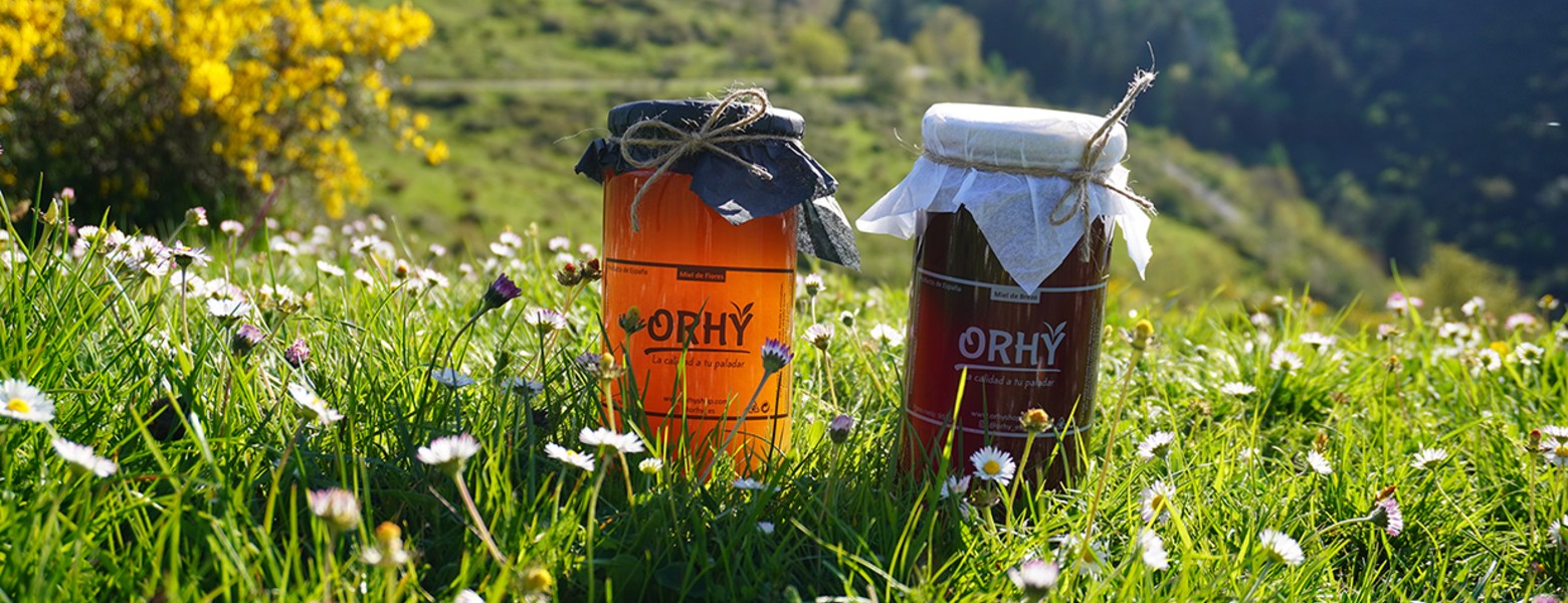 Orhy Shop | Venta de Miel - Imagen 1