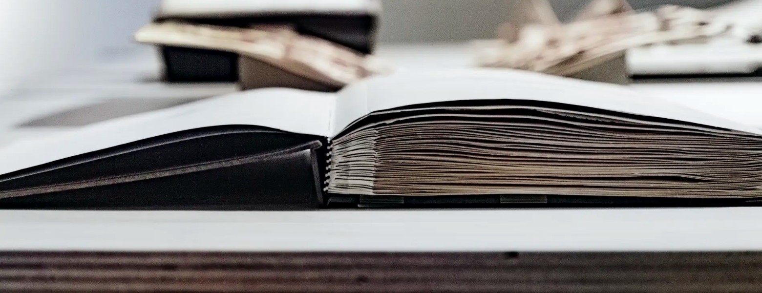 VanStafie Abogados (Extranjería y derecho internacional) - Imagen 3