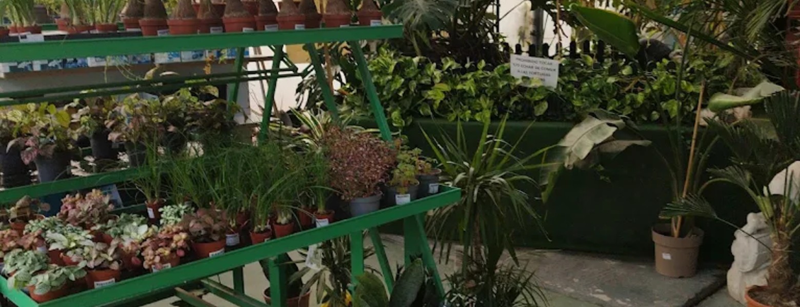 Garden Almerimar - Imagen 6