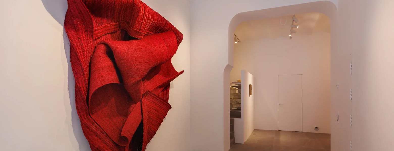 Jose Filemón Fotografía - Imagen 10