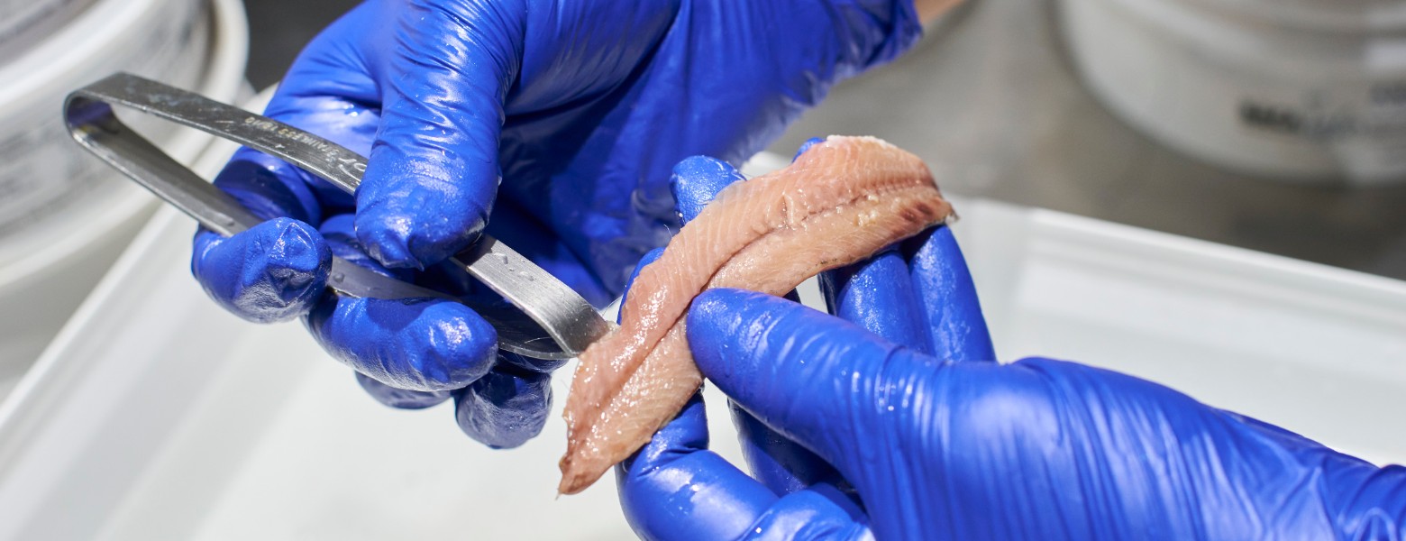 Bacallaneria Bacalalo | Mercat del Ninot - Barcelona - Imagen 11