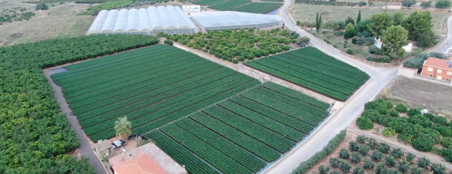 Espacio Verde Viveros (Eugenio Signes) - Imagen 5