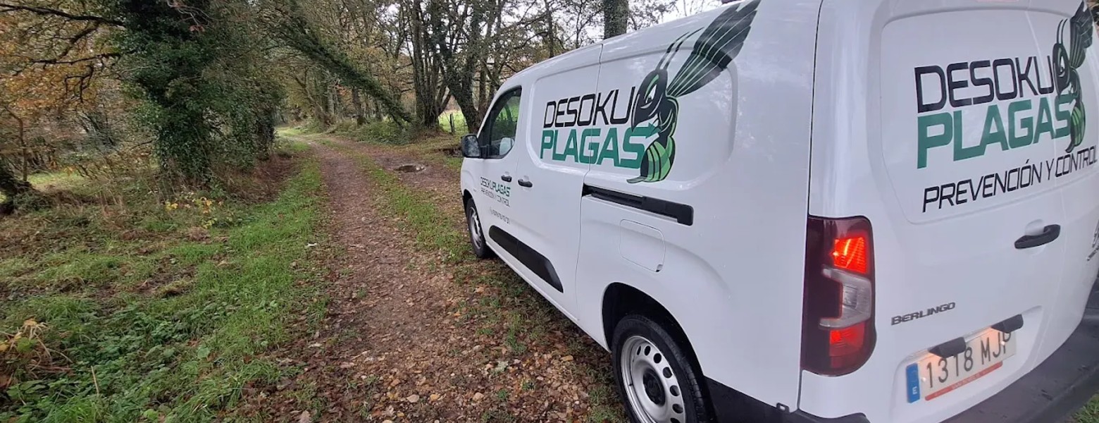Desokuplagas - Control de Plagas Sevilla - Imagen 3