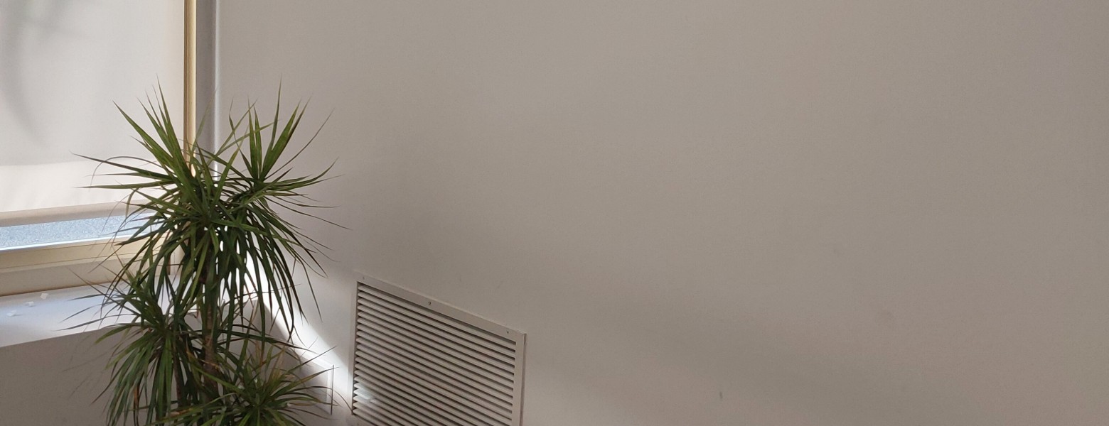 Sara Burnod Psicología - Imagen 5