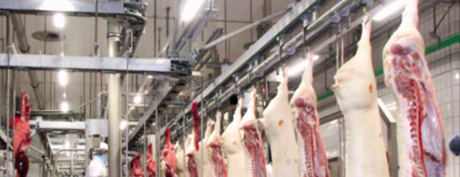 DEXA Soluciones - Maquinaria para Mataderos - Imagen 4