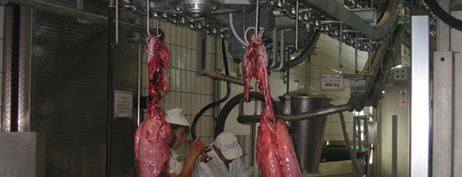 DEXA Soluciones - Maquinaria para Mataderos - Imagen 2