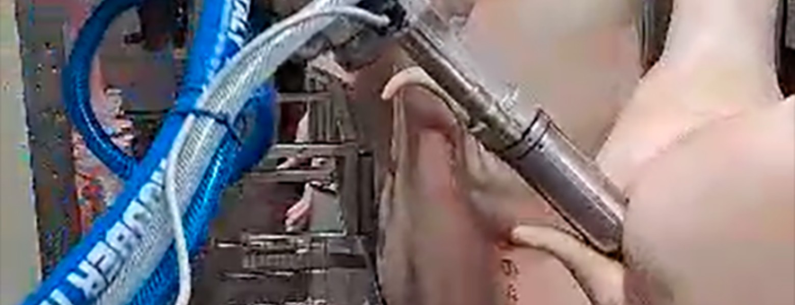 DEXA Soluciones - Maquinaria para Mataderos - Imagen 3