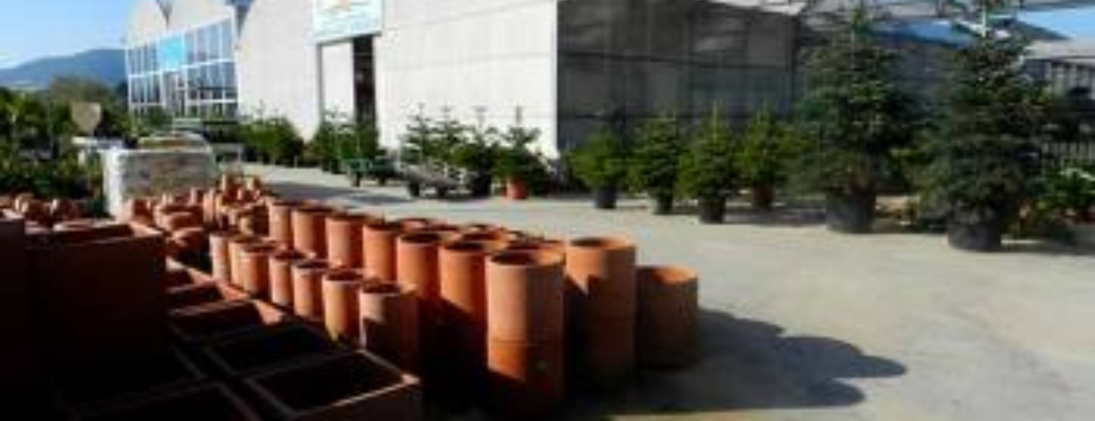 Espacio Verde Viveros (Eugenio Signes) - Imagen 2