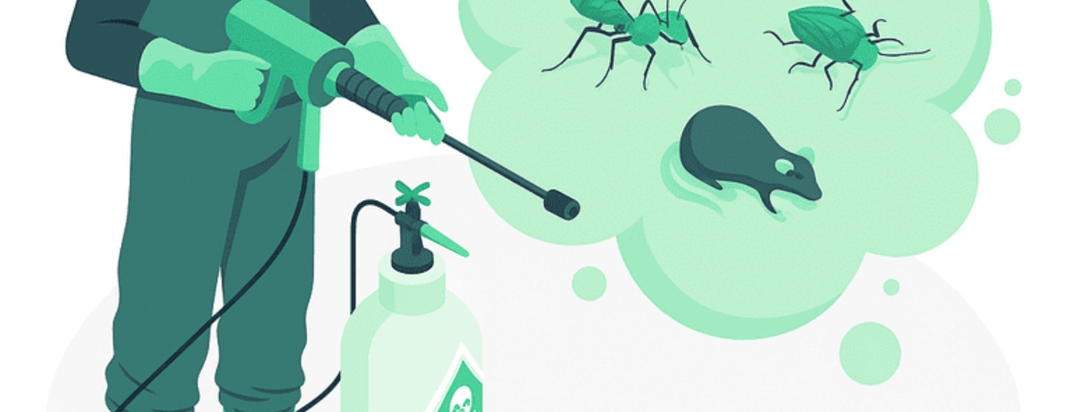 Sky Control de Plagas en Valencia - Imagen 2