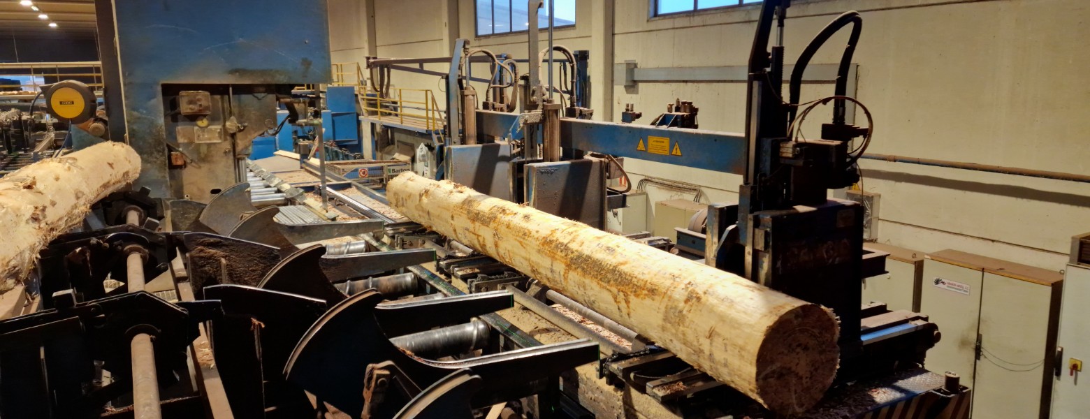 Maderas San Isidro S.A. - Imagen 3