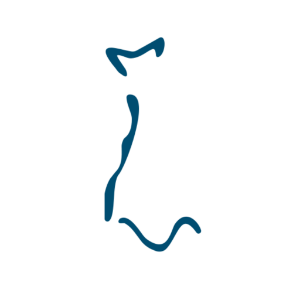 Logo de Bacallaneria Bacalalo | Mercat del Ninot - Barcelona