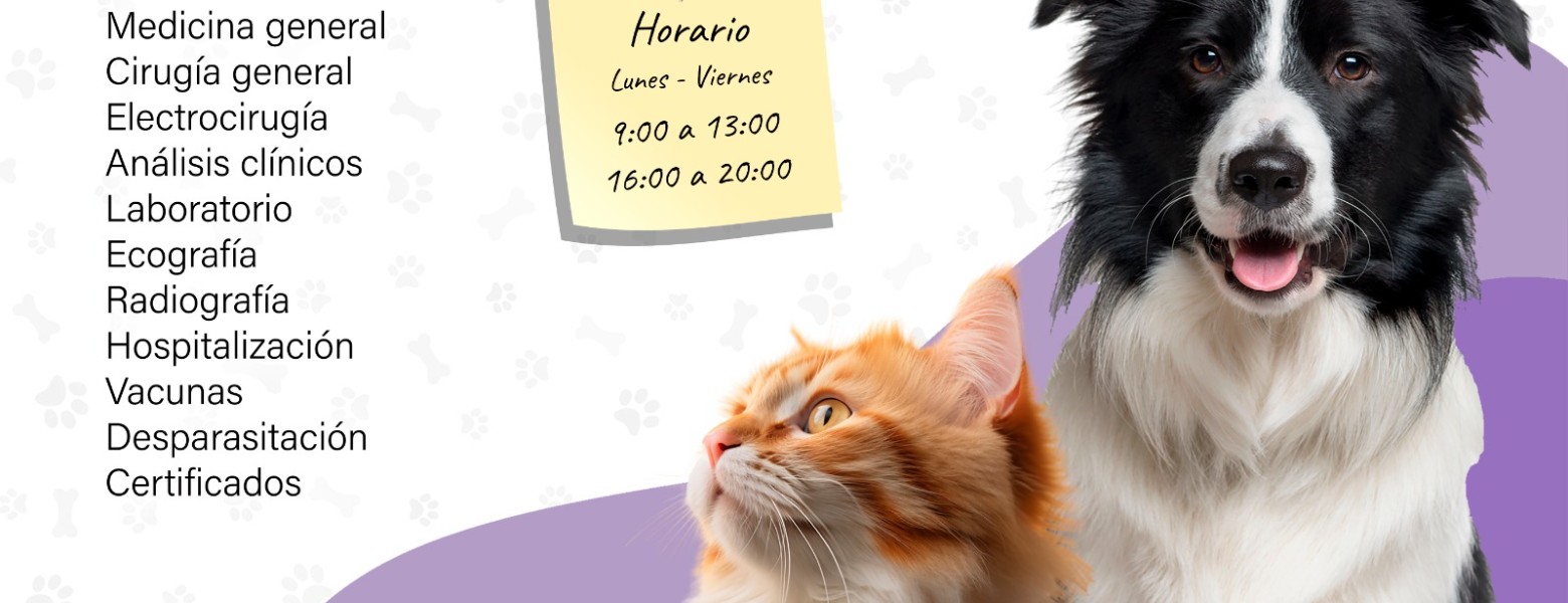 ClinicVet La Laguna - Imagen 1