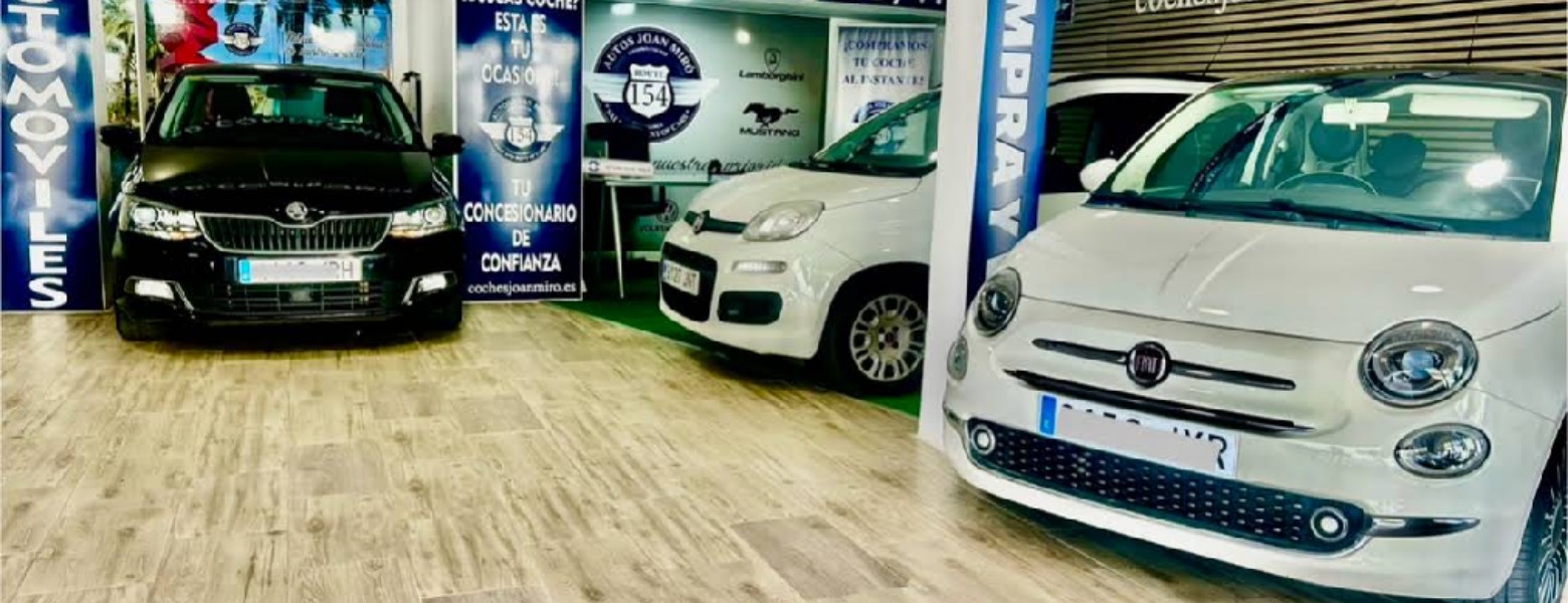 Samai Fenix S.L. - Imagen 2