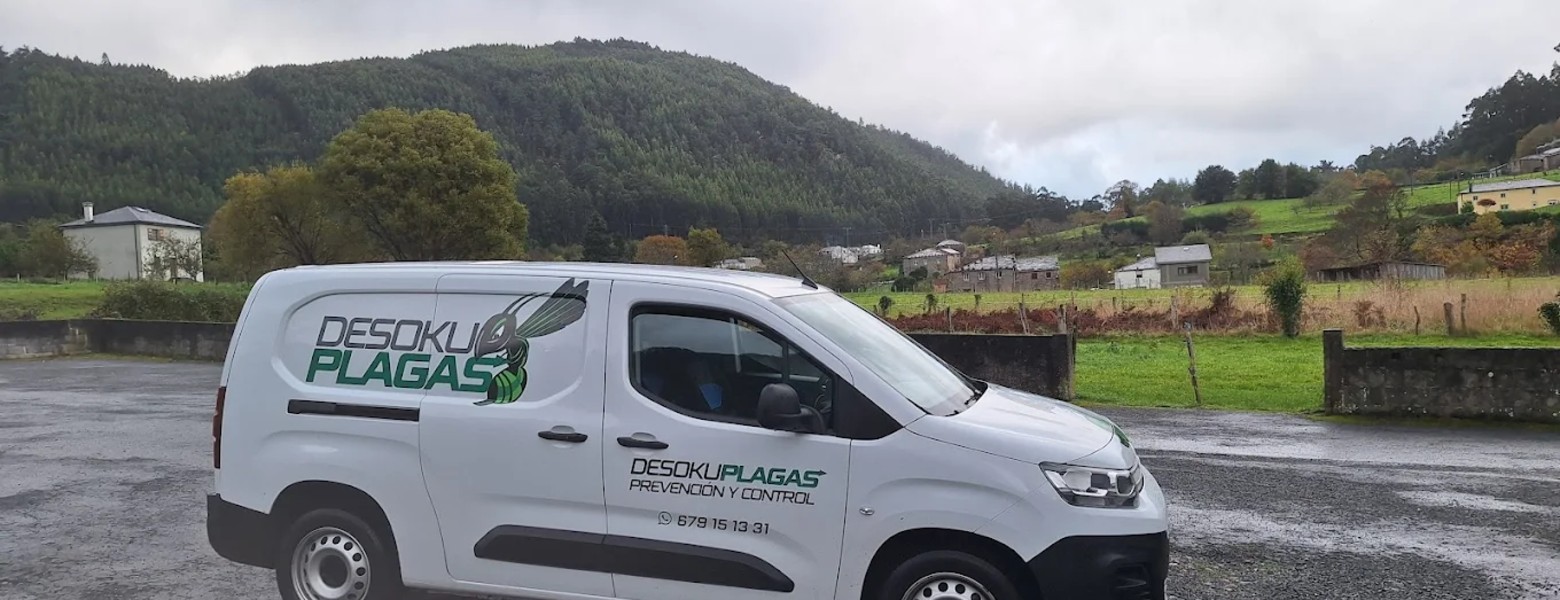 Desokuplagas - Control de Plagas Sevilla - Imagen 1