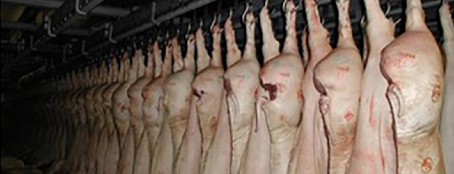 DEXA Soluciones - Maquinaria para Mataderos - Imagen 1