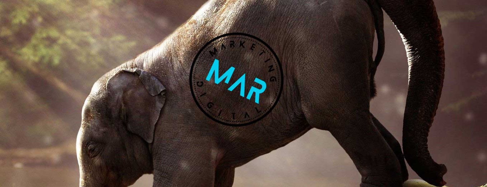 Mar Digital - Imagen 4