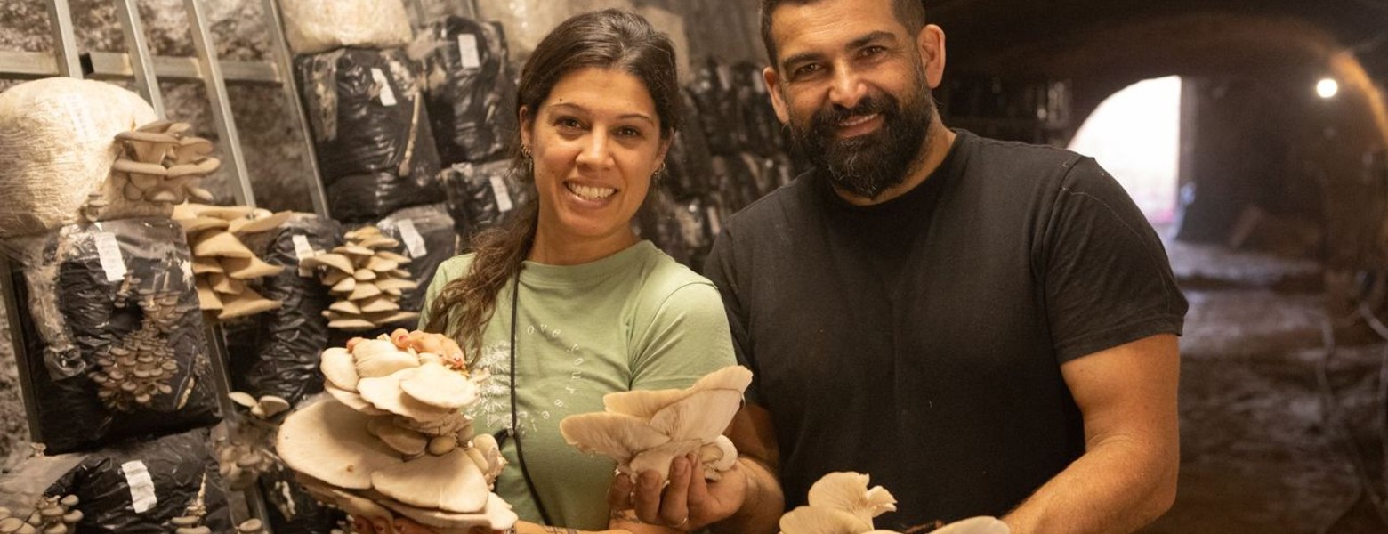 Setas La Bruja | Productor Recomendado - Imagen 2